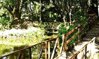 Imagem 5: Chácara Sítio Chácara com venda por R$1.290.000