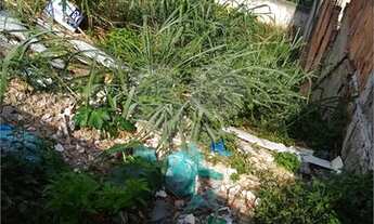 Imagem 3: Terreno 14,40m x 25m = 360m², terreno em declive acentuado