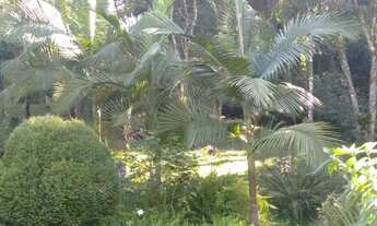 Imagem 2: Vende-se uma Linda Chácara