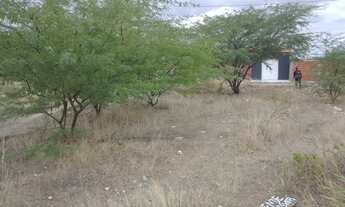 Imagem 4: Terreno no rodeadouro