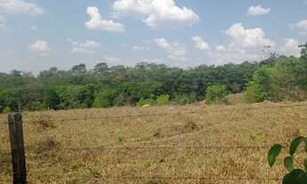 Imagem 6: Fazenda 10 hectares jardim ABC