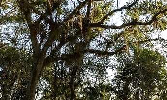 Imagem 7: EXCELENTE LOTE NO CONDOMÍNIO CALEDÔNIA