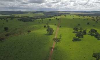 Imagem: Fazenda 487 Alqueires Municipio Serranopolis