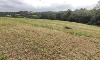 Imagem 2: CAMPO LARGO - Chácara - BOTIATUVA