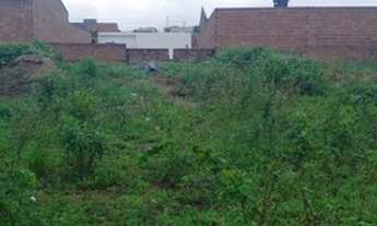 Imagem 2: Terreno no São João Escócia