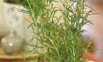 Imagem 4: Apartamento para Venda em São Paulo, Pinheiros, 2 dormitórios, 1 banheiro, 1 vaga