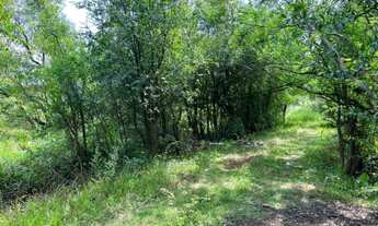 Imagem: Linda ares de 15 hectares