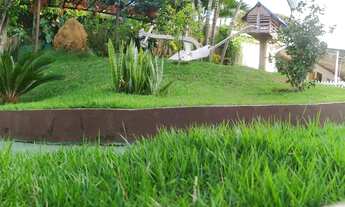 Imagem 7: Linda Chácara em Salvaterra 2450m2 Produtiva e exuberante