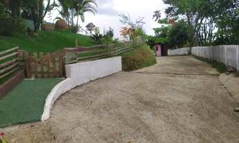 Imagem 5: Linda Chácara em Salvaterra 2450m2 Produtiva e exuberante