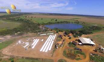 Imagem: Fazenda com dupla aptidão à venda por
