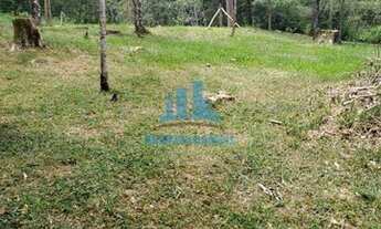 Imagem: Terreno Plano em Nova Friburgo