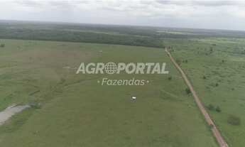 Imagem 3: Fazenda no Pará - Santa Maria - 312 ha (64 alq