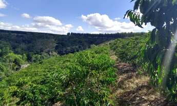 Imagem 4: Terra Produzindo em São Mateus- Faço parcelamento anual