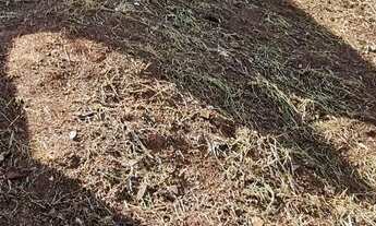 Imagem 2: Vendo terreno 231m2 R$60000,00