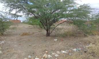 Imagem: Terreno no rodeadouro