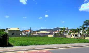 Imagem 1: Lote em Canasvieiras a venda, ótimo valor