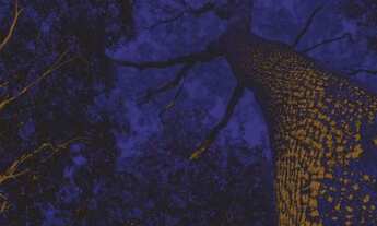 Imagem 5: Apartamento para venda possui 89 metros quadrados com 3 quartos