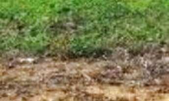 Imagem 6: Terreno à venda, 1500 m² por R$ 1.800.000 - Centro - Itanhaém/SP