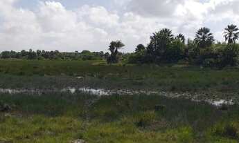 Imagem 3: Sítios em barreirinhas 5.000 mt2 parcelados