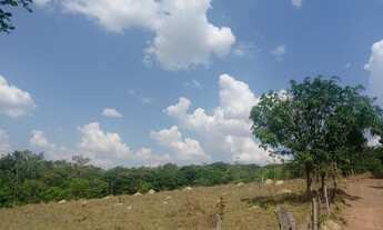 Imagem 5: Fazenda 10 hectares jardim ABC