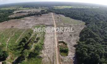 Imagem 7: Fazenda no Pará - Bragança - 1540 ha (318 alq