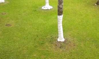 Imagem 2: Casa para Venda em Itanhaém, Cibratel II, 5 dormitórios, 5 suítes, 5 banheiros, 4 vagas