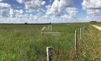 Imagem 2: Fazenda á venda município de Diamantino MT