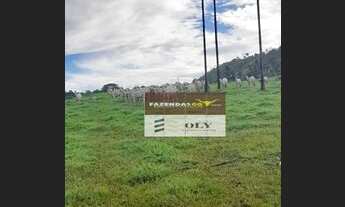 Imagem 3: Fazenda para Pecuária ! Região de Campinaçu ! 143,5 Alqueires !