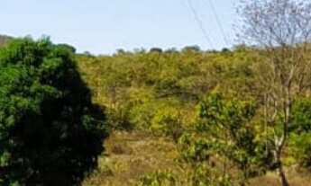 Imagem 7: VENDO FAZENDA DE 10 ALQUEIRES NO MUNICÍPIO DE GOIÁS VELHO