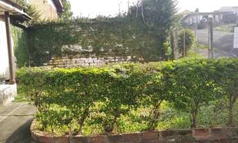 Imagem 5: NOVO HAMBURGO - Terreno Padrão - Primavera