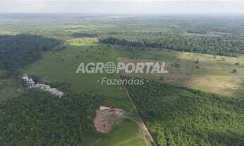 Imagem 6: Fazenda no Pará - Acará - 323 ha (66 alq