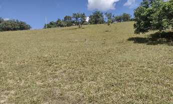 Imagem: Vendo terreno no interior