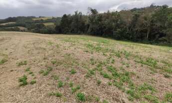 Imagem 4: CAMPO LARGO - Chácara - BOTIATUVA