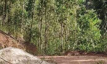 Imagem 7: Corretores e caloteiros nem percam o tempo!! Chácara Domingos M. 2,400 mtrs plator grande