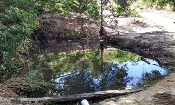 Imagem 3: Terra Produzindo em São Mateus- Faço parcelamento anual