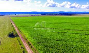 Imagem 2: Fazenda em Rosário Oeste-MT - Dupla Aptidão