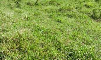 Imagem 6: Fazenda Fazenda / sítio com venda com preço sob consulta