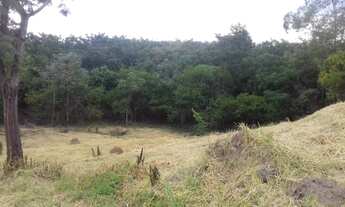 Imagem 7: Oportunidade Terreno com 210m² - Pq. Nova Esperança / Novo Horizonte (Valor imperdível