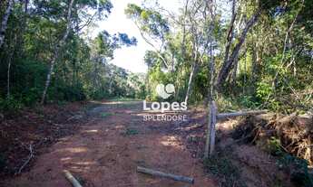 Imagem 2: Terreno à venda, 16850 m² por R$ 650.000,00 - Centro (Canguera) - São Roque/SP