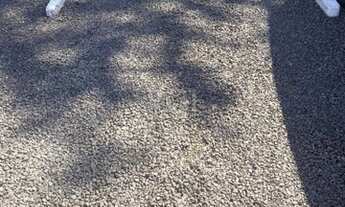 Imagem 7: Canoas - Apartamento Padrão - Igara