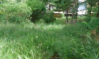 Imagem 6: Porto Alegre - Terreno Padrão - Altos do Ipê