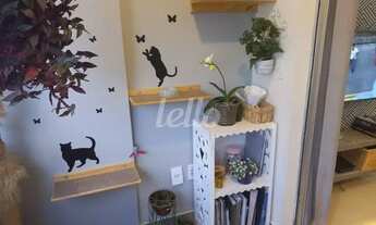 Imagem 7: São Paulo - Apartamento Padrão - Mooca