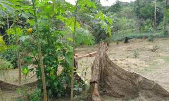 Imagem 5: Vende se um sítio meu telefone