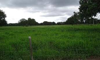 Imagem 7: Fazenda a venda em Cocalinho - MT