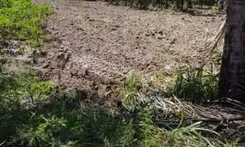 Imagem 2: 1 tarefa de terra