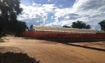 Imagem 2: Terreno 10 mil m2 na beira da BR 163 saída pra SP