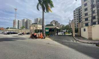 Imagem: Belas Artes 68478