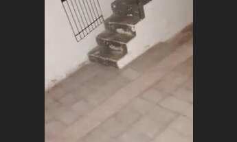 Imagem 6: Casa pra alugar próximo Garbosa da feirinha