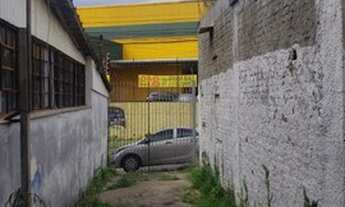 Imagem 5: São Paulo - Terreno Padrão - Vila Dionisia