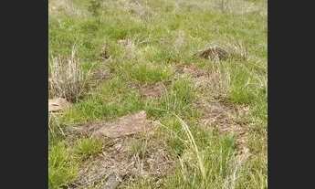 Imagem 3: 48M-5GKDU0 Terreno / lote com venda por R$50.000